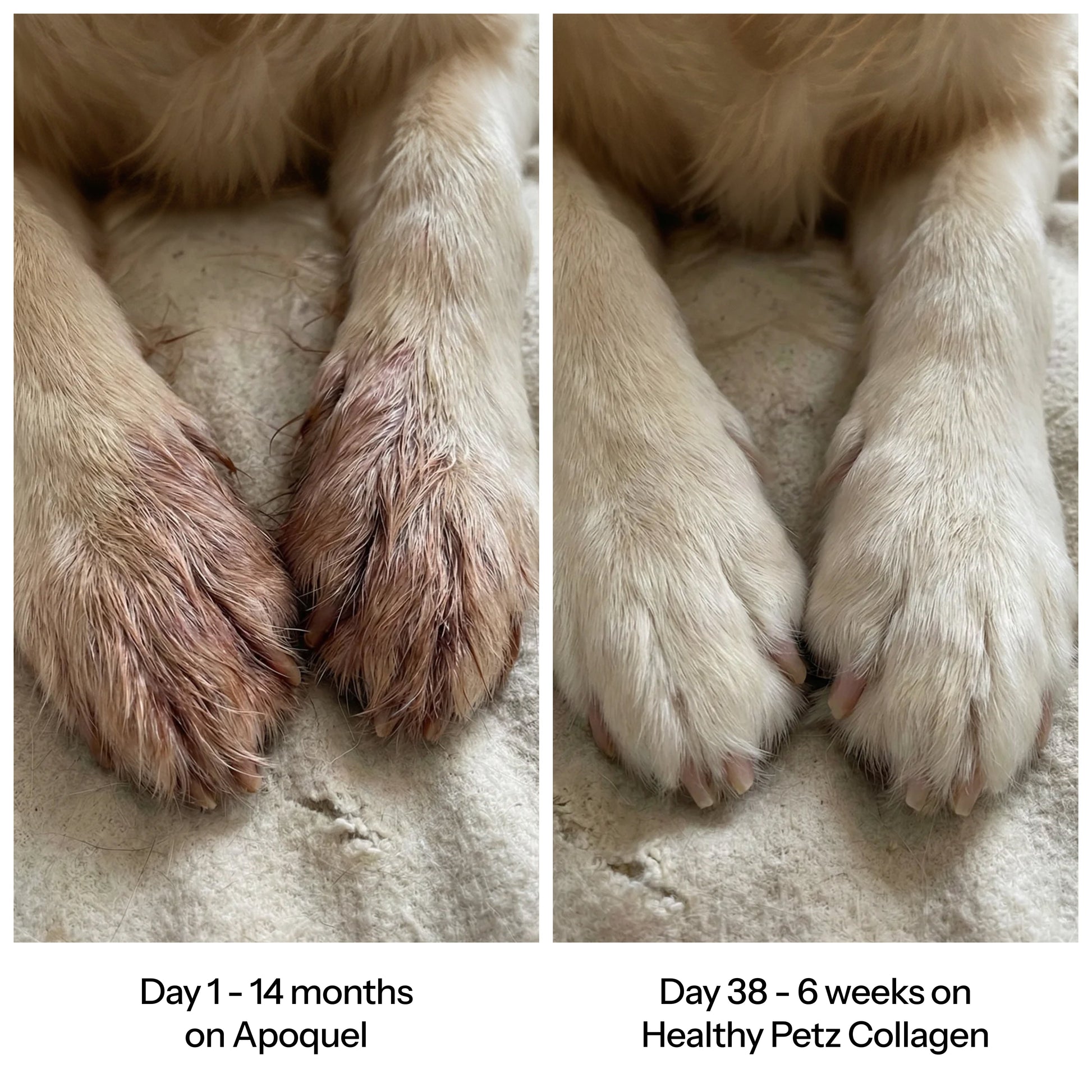 Healthy Petz Premium Liquid Collagen