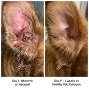 Healthy Petz Premium Liquid Collagen