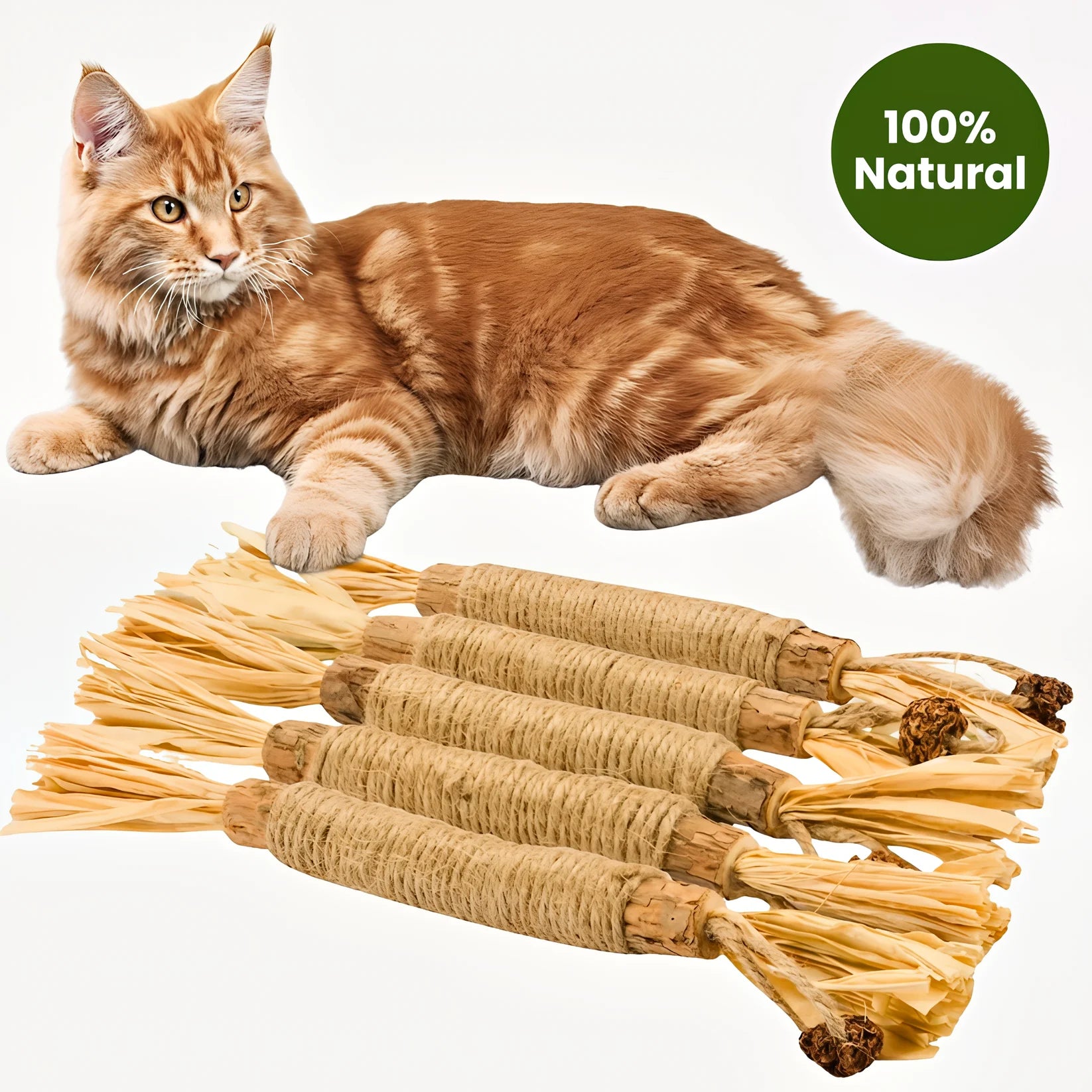 Caplio silvervine sticks summer sale