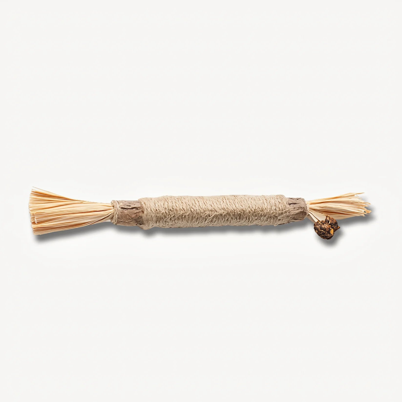 Single Caplio silvervine dental stick on white background
