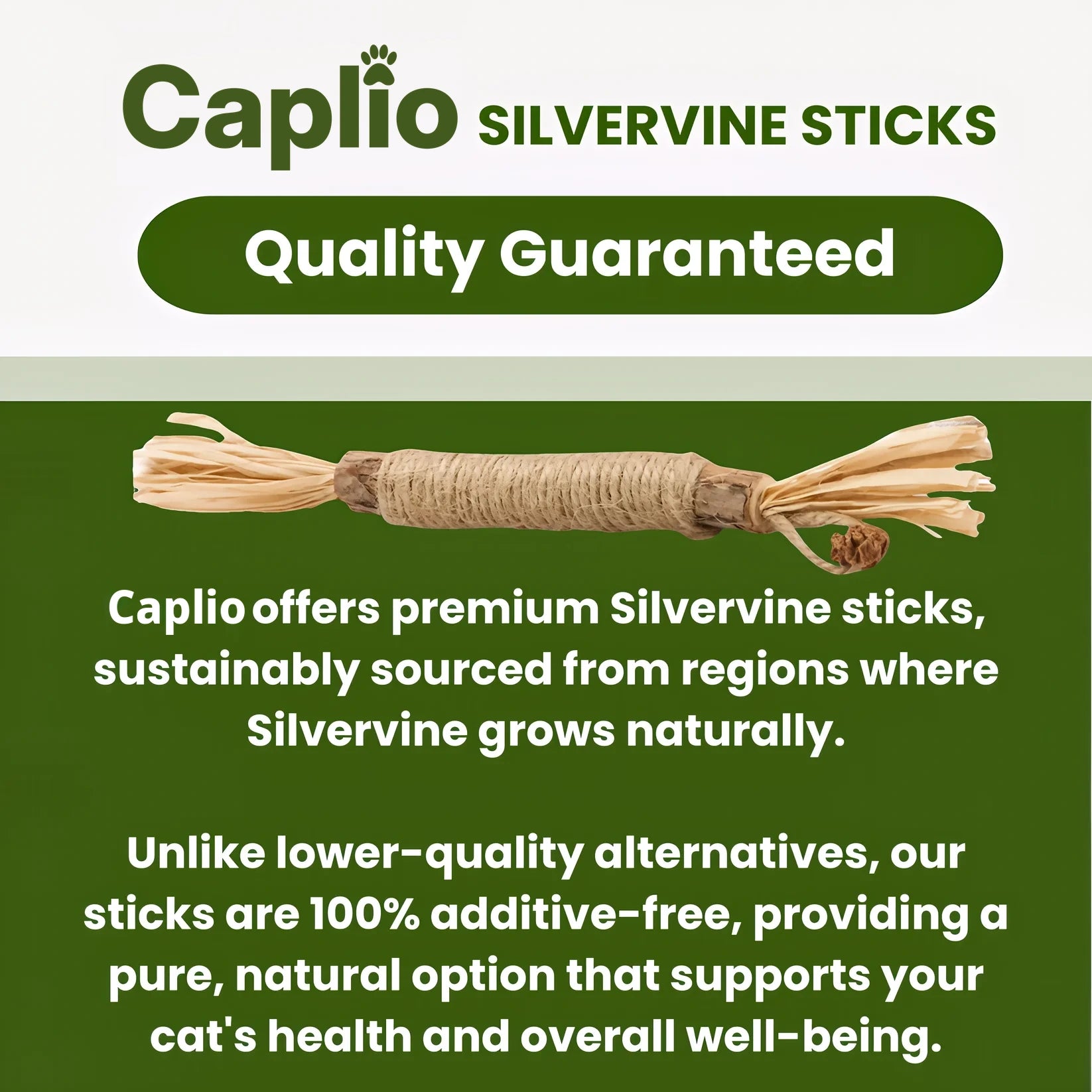 Caplio silvervine sticks quality guaranteed infographic