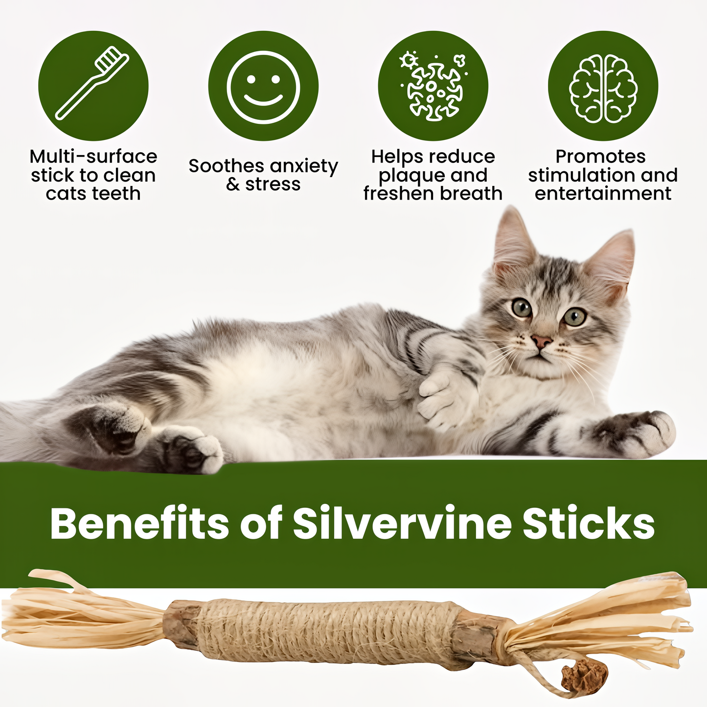 Caplio silvervine dental sticks product visual