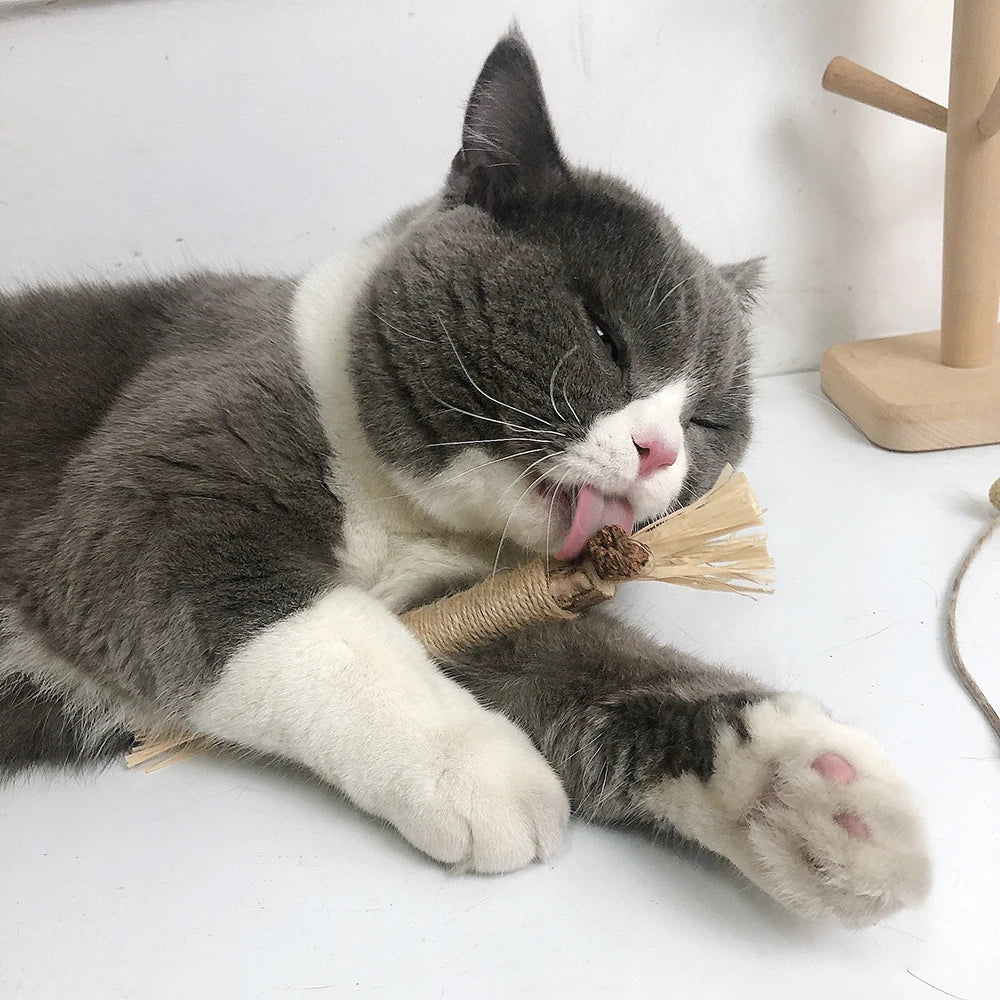 Relaxed cat after Caplio silvervine play